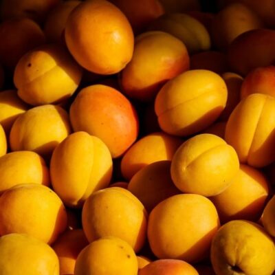 Apricots