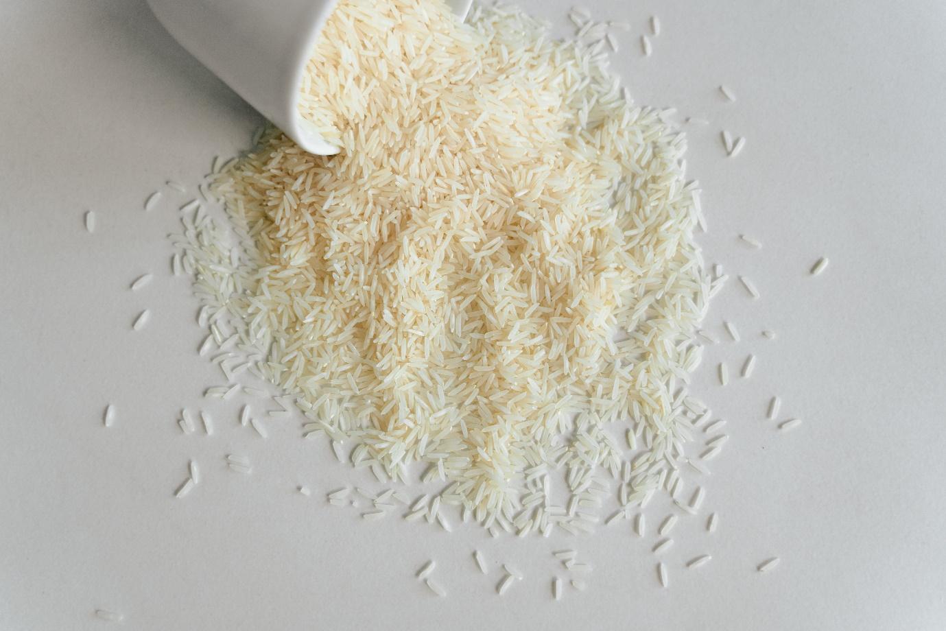 Can Dogs Eat Basmati Rice? And How Much Is Safe?