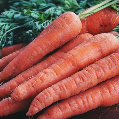 Canned Carrots