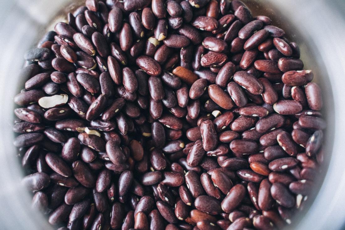 Can Dogs Eat Pinto Beans? And How Much Is Safe?