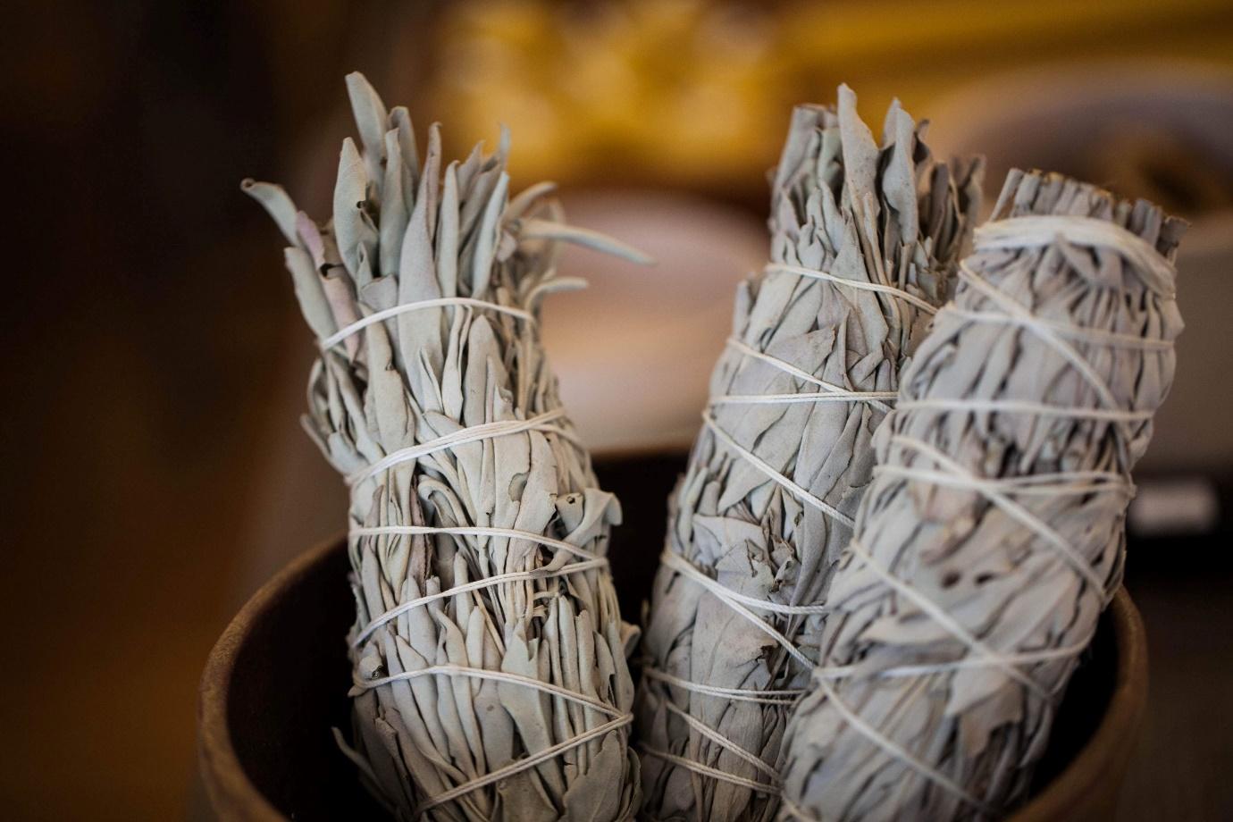 Can Dogs Eat Sage? And How Much Is Safe?