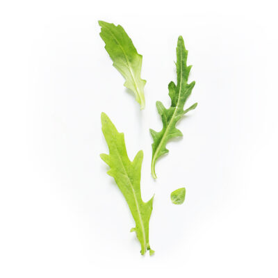 Photo of arugula leaves