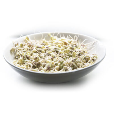 Photo of bean sprouts