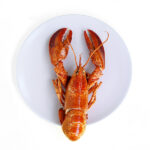 Image of a lobster on a plate