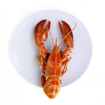 Image of a lobster on a plate