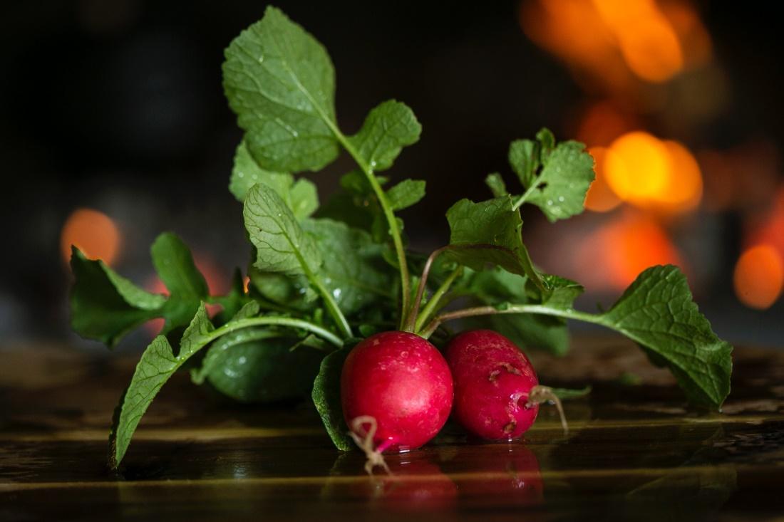 Can Dogs Eat Radishes? And How Much Is Safe?