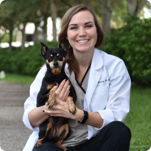 Dr. Hillary Wolfe with a dog